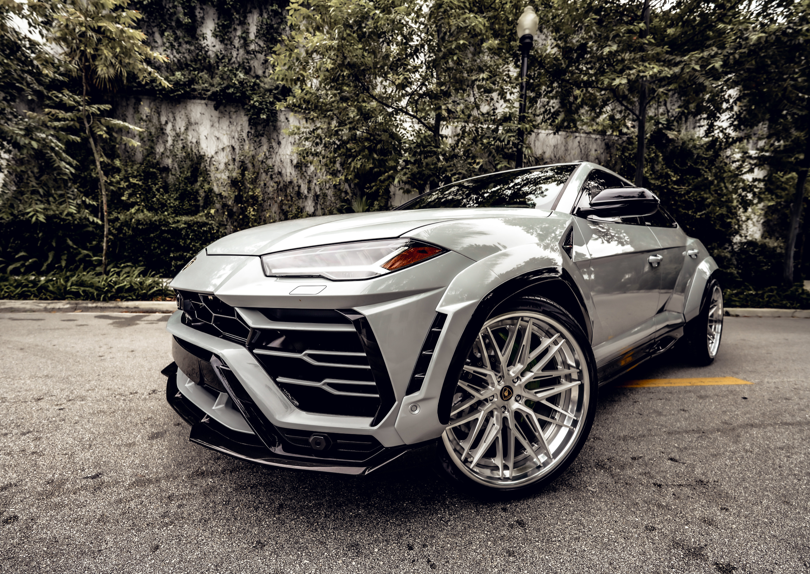LAMBORGHINI URUS DOVE