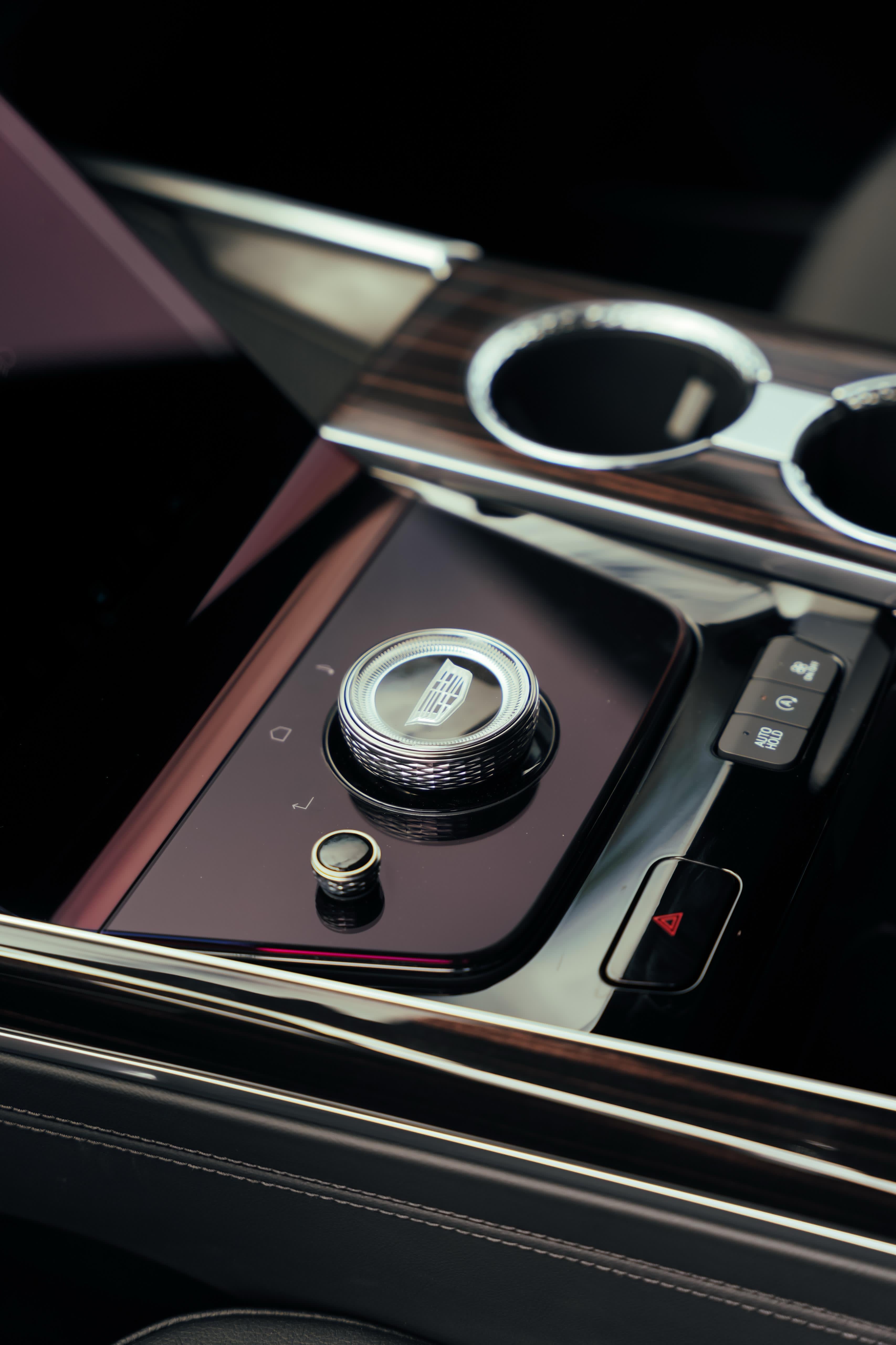 2025 CADILAC ESCALADE BLACK ESV