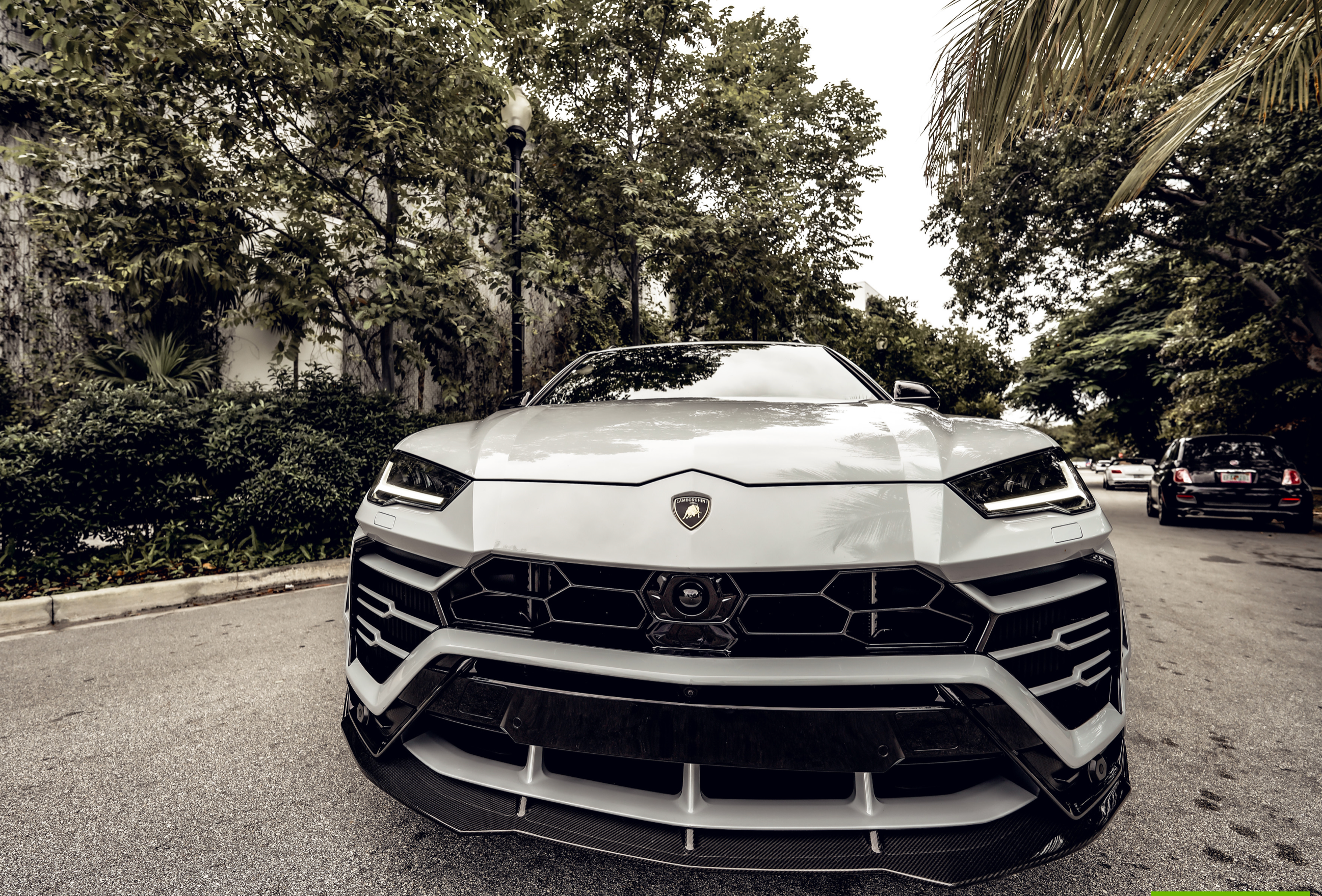 LAMBORGHINI URUS DOVE 