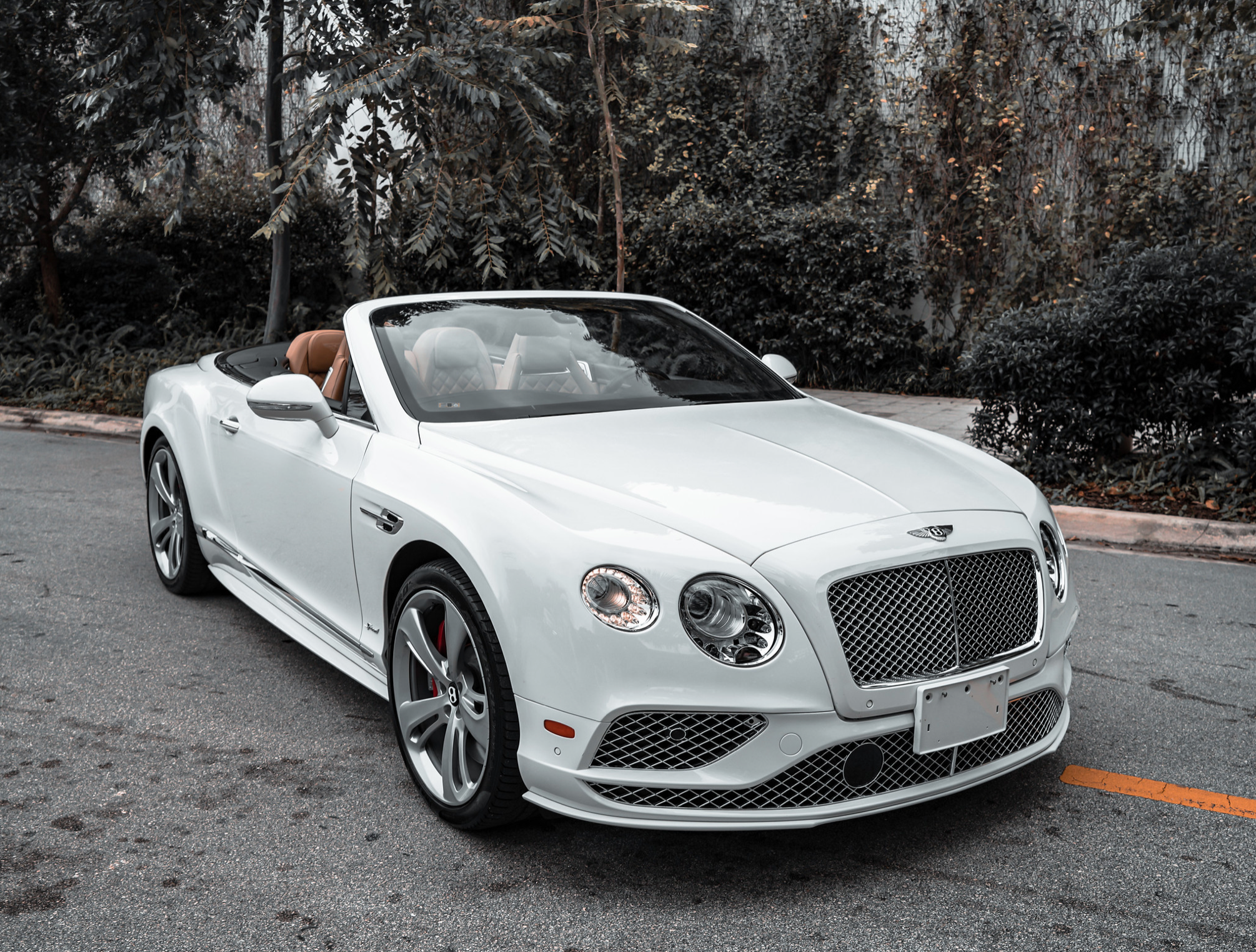 BENTLEY GTC SPEED V12