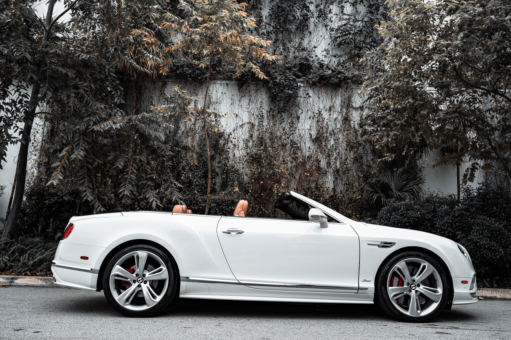 BENTLEY GTC SPEED V12