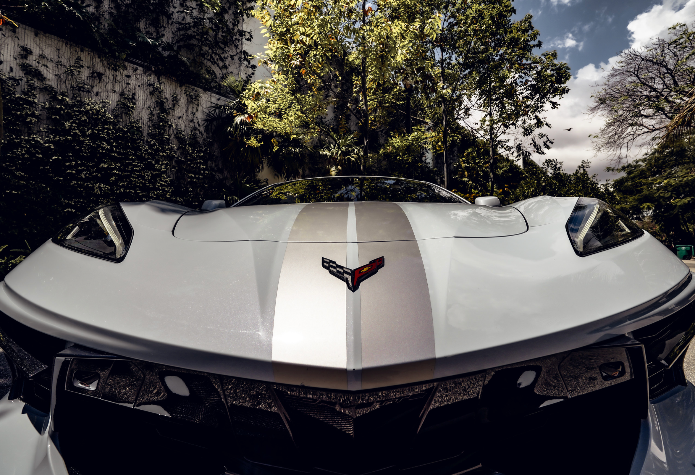 CORVETTE C8 WHITE