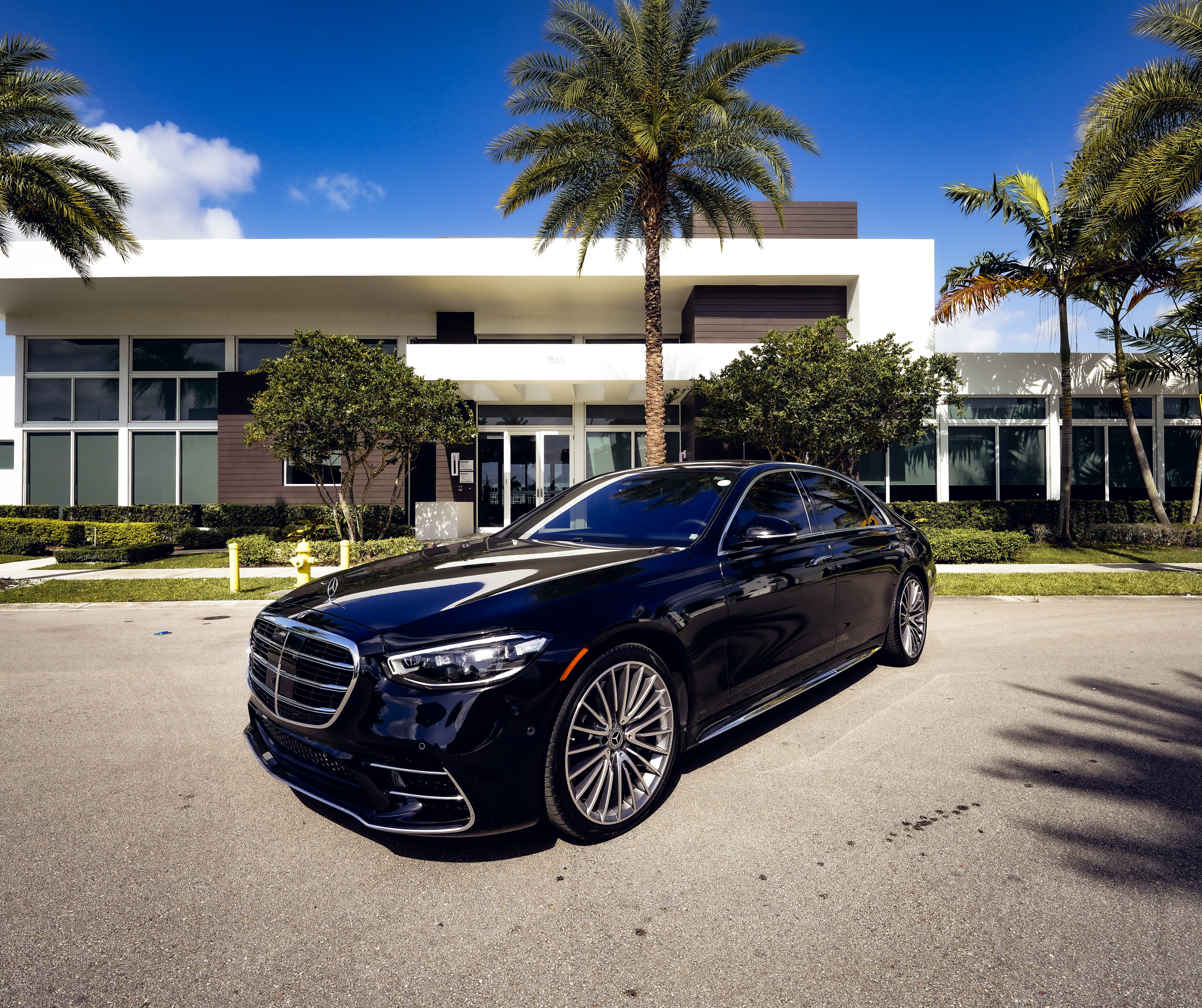 MERCEDES AMG GT-S