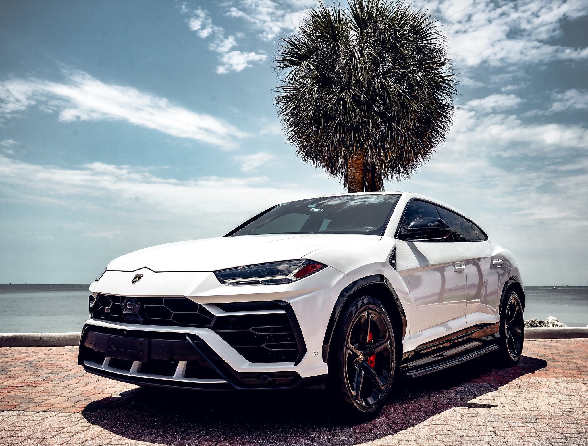 Lamborghini Urus - White