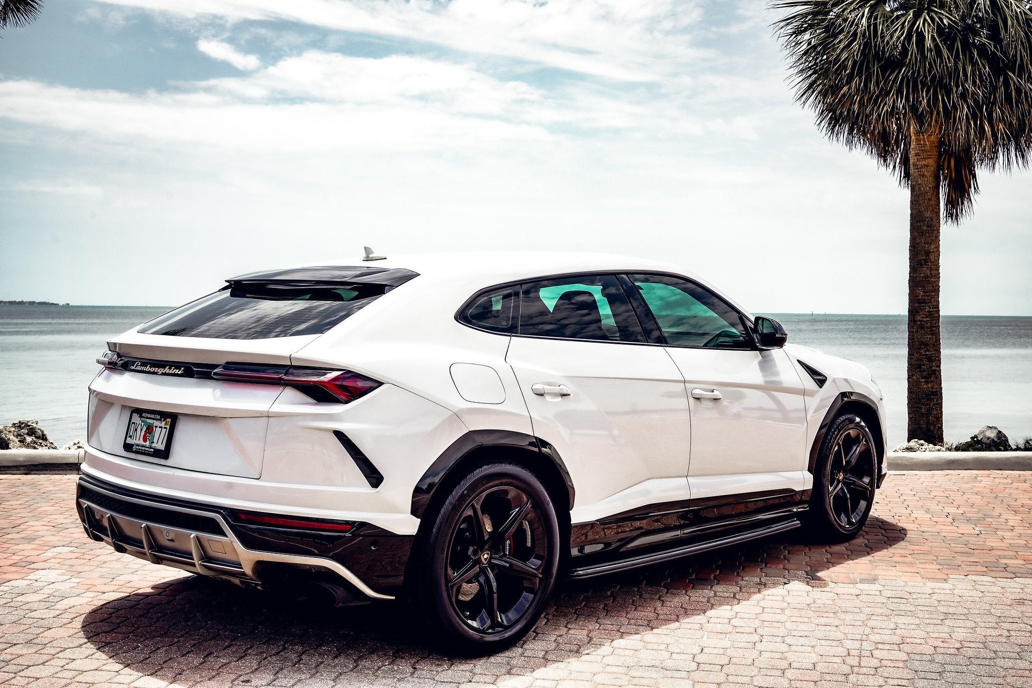 Lamborghini Urus - White