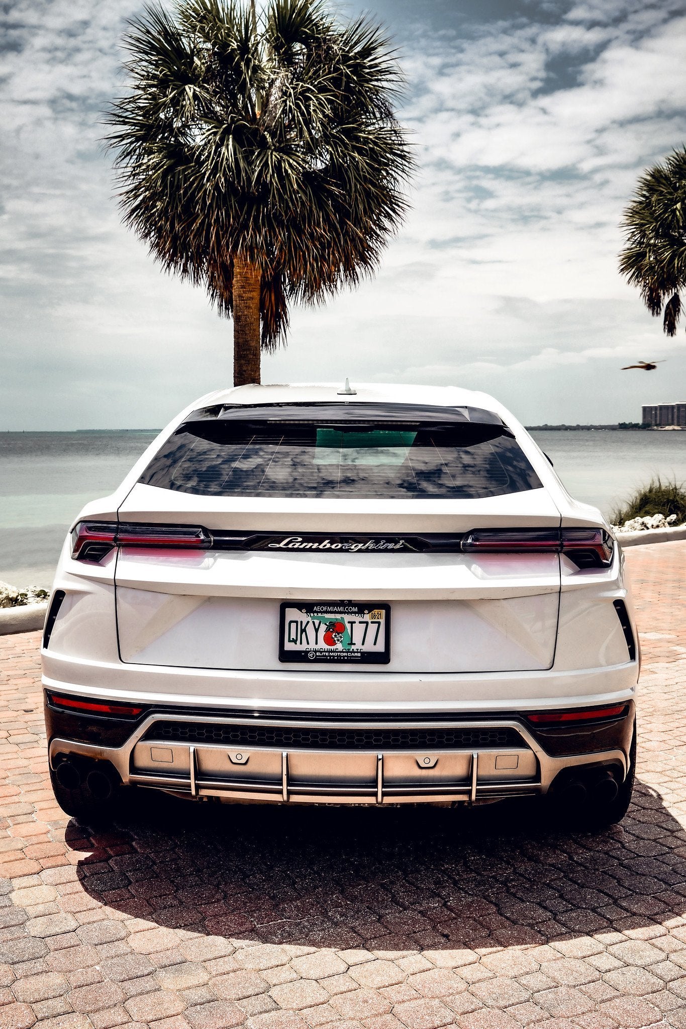 Lamborghini Urus - White